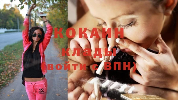 крисы Алзамай