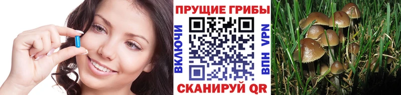 Галлюциногенные грибы Cubensis  Алушта 