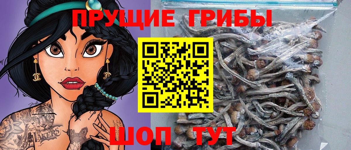 купить закладку  Вход с VPN  Алушта  Галлюциногенные грибы мицелий 